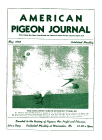 Magazine Cover
